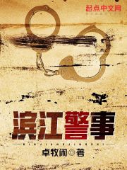 滨江警事TXT下载