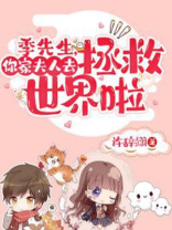 季先生小说原名
