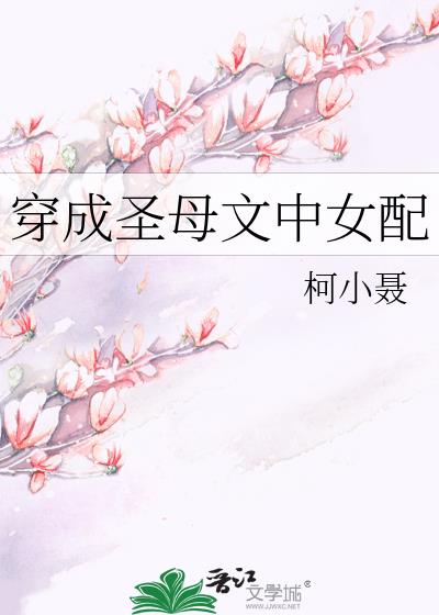 穿成圣母文中女配txt