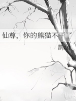 仙尊,你的熊猫不干了小说