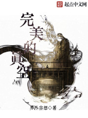 完美的真空电子书下载