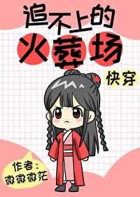 追不上的火葬场[快穿]百度云