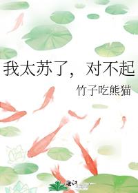 我太苏了，对不起