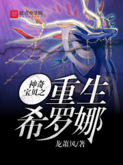 神奇宝贝之重生希罗娜 小说