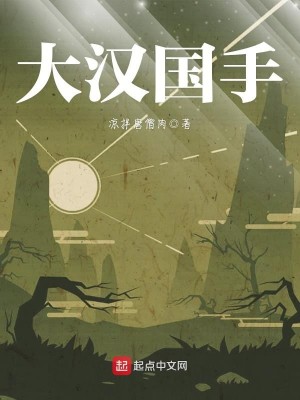 大汉国手何皇后小说