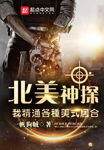北美神探,我精通各种