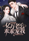 错嫁缠婚首富老公乖乖宠我!
