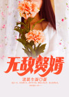 无敌赘婿小说免费阅读