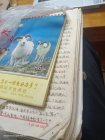 妈妈的日记作文800字