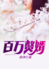 百万女婿免费阅读
