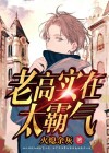 老高是啥意思