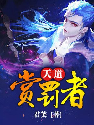 天道赏罚令吧