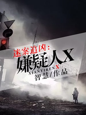 迷案追凶几个案件