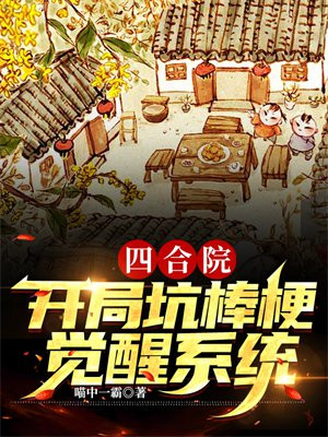 四合院开局娶秦淮茹
