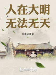 人在大宋无法无天