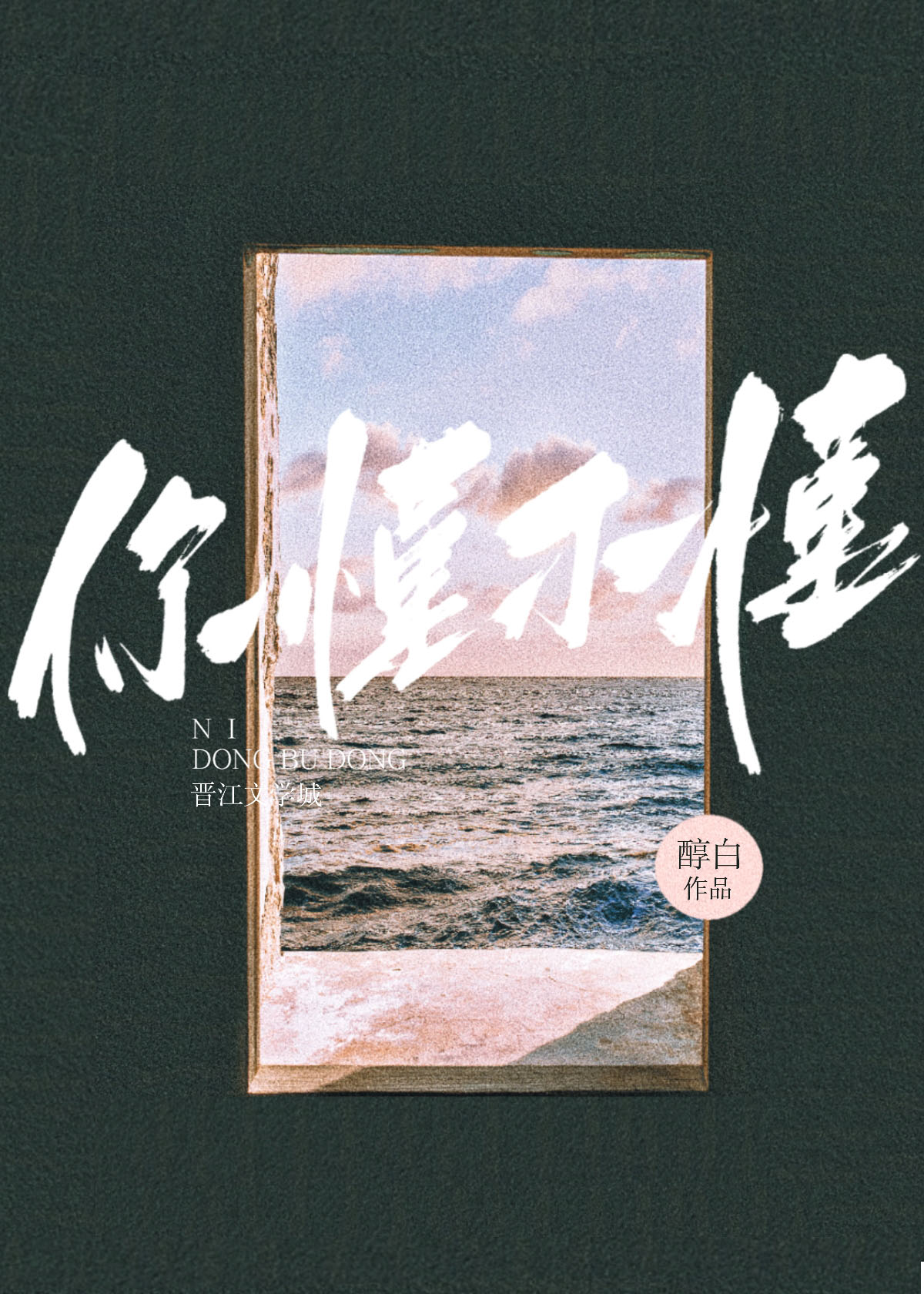 你懂不懂沈