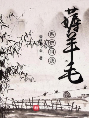 薅羊毛系统小说