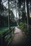 未来属于你和我校歌