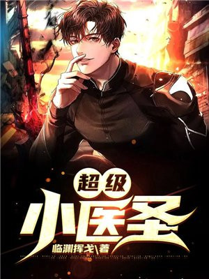 超级医圣 小说