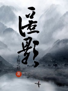 匿影避形残局破解