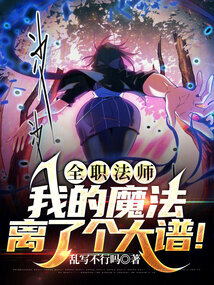 全职法师:我的魔法离了个大谱小说