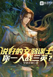 说好的文弱谋士,你一人战三英?TXT下载