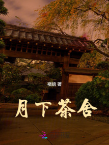 月下品茶