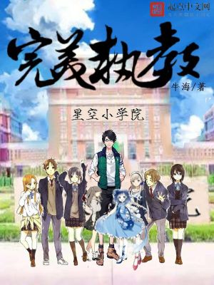 完美教学系列