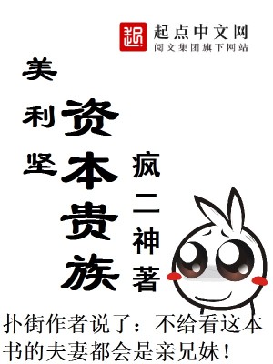 美利坚资本贵族