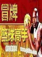篮球高手游戏