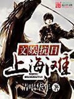 上海滩抗日战争的电视剧
