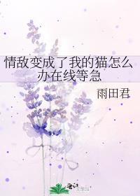 情敌变成了我的猫怎么办在线等急雨田君