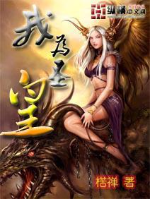 我为圣子