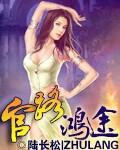 官路鸿途 小说