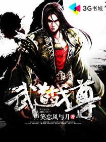 武道战尊凌天