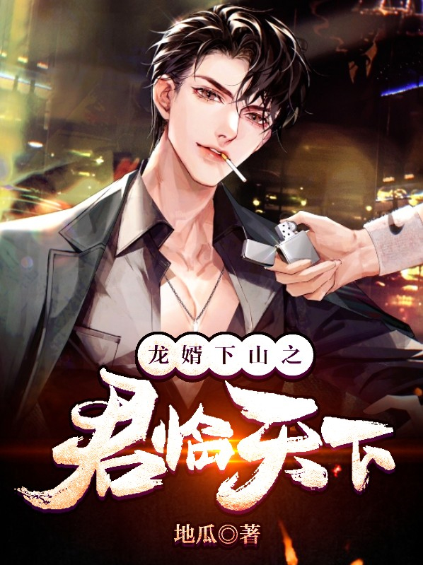 龙婿下山之君临天下小说