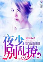 霸道甜甜圈夜少别乱撩