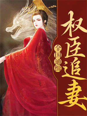 权臣追妻,全国通缉
