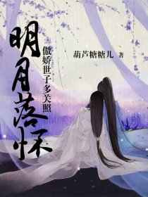 明月落我怀原创小说