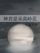 神君是朵高岭花小说