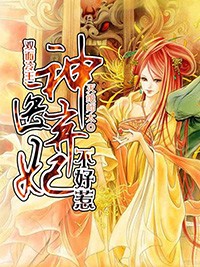 双面冷王神医弃妃不好惹