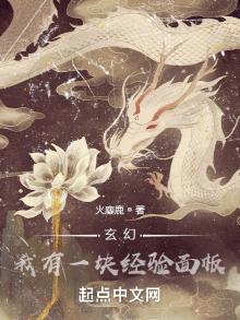 我有一个经验值面板顶点小说
