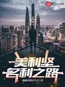 美利坚名利之路小说