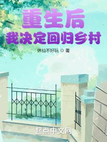 重生后,我决定回归乡村小说