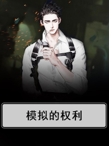 模拟的权利