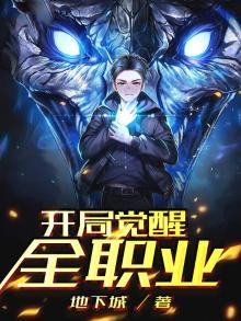 开局觉醒全职业系统的小说