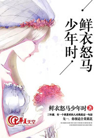 鲜衣怒马少年时书籍