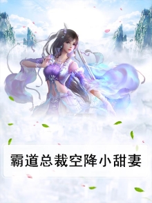 天降霸道总裁娇宠小悍妻