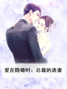 爱在隐婚时：总裁的逃妻