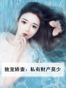 独宠娇妻：私有财产莫少